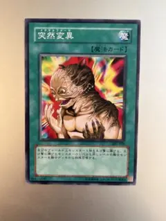 【希少型番】突然変異 メタモルフォーゼ