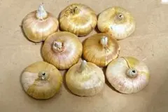 Oyakata-0825様 リクエスト 2点 まとめ商品