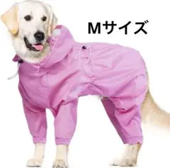 Item thumbnail for item 0756f0cd-292a-46f7-ba5b-ebf1d87dfc2c