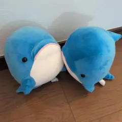 八景島シーパラダイス イルカぬいぐるみくじ 1等 - メルカリ