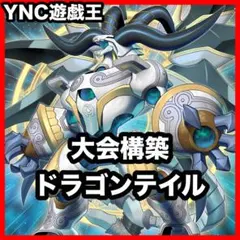 ドラゴンテイルデッキ 本格構築 遊戯王 星辰爪竜アルザリオン 星辰砲手ファイメナのサムネイル