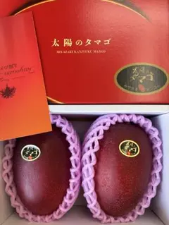 宮崎県産太陽のタマゴ赤秀4Lサイズ2玉入り化粧箱① - メルカリ