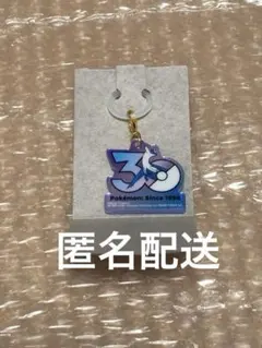 ポケモン ポケチャーム 30周年 ロゴマスコット ラティオス