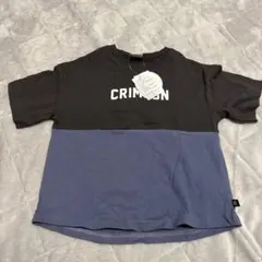 新品タグ付き　Tシャツ　半袖　120
