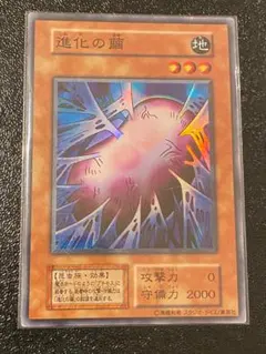 遊戯王 進化の繭 初期 ウルトラレア - メルカリ
