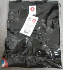 Item thumbnail for item 6347a0d6-401c-4eb7-9b0e-77939768d9a2