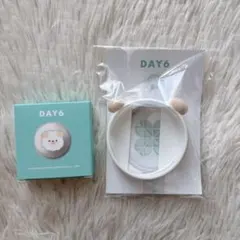 DAY6 デニマルズ ライトバンド ペンラ カスタム カバー PIL ウォンピル