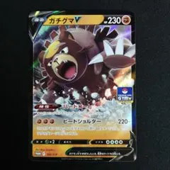 ジムプロモ ガチグマV