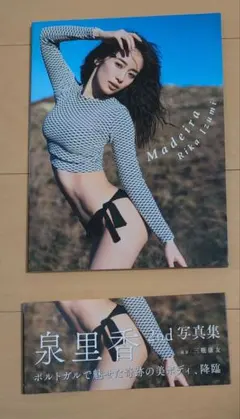 Item thumbnail for item f33dfe9f-79e2-4948-8450-4689bb4dd1b1