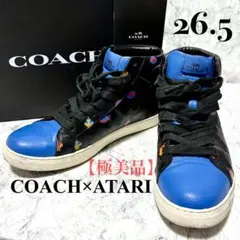 2026年最新】COACH メインカラー：ブルー メンズ スニーカーの