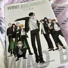 WINDBREAKER ウィンブレ 兎耳山丁子 戸谷菊之介 直筆 サイン 色紙