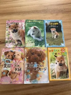 犬の物語 小説 6冊天国の犬ものがたり一歩一歩ハチ公物語ひまわりと子犬の7日間