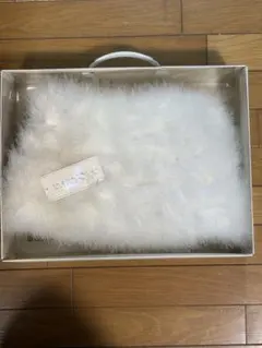 Item thumbnail for item 482b4601-2da3-4255-8182-d278ab56a1f0