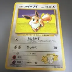 2026年最新】ポケモンずかんカード イーブイの人気アイテム - メルカリ