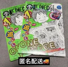ワンピースマガジン Vol.17 ヤマト 花魁 プロモ付き 2冊セット