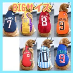 犬の洋服　夏服　大型犬　中型犬　犬の服　アウトドア