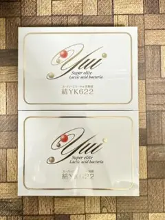 スーパーエリート乳酸菌 結 YK622（パウダータイプ）60包 YKワールドビジョン 結 YK622 スーパーエリート乳酸菌 60包
