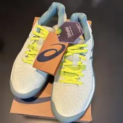 Item thumbnail for item 1af1c917-ef40-414f-b855-deb61eb7befe