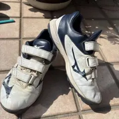 Item thumbnail for item 7a455dd9-1027-438b-9f3a-88ecd1190a5a