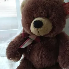 GUND くまさん　テディベア
