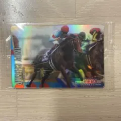 インディチャンプ　レア　サイン付き　サラブレッドホースコレクション