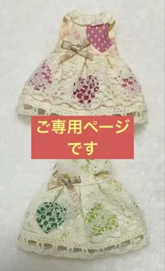 【ご専用ページ】 ハンドメイド服 2点