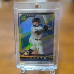 Item thumbnail for item 89aa4d89-cf52-47a9-bfe0-7b9aa1f90a35