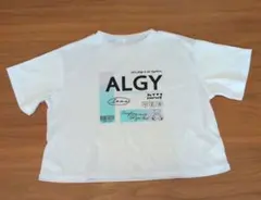 Item thumbnail for item 8f9dde53-2971-4469-82b3-3f25ba3d976f