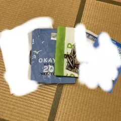 Item thumbnail for item b9444b3c-79be-4472-8748-b42c2bc8b814