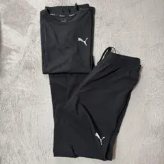 PUMA ランニングウェア　セットアップ　男女兼用可