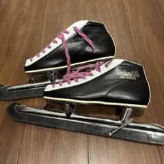 Item thumbnail for item b40c944f-44a9-486d-8bb9-ca0331ef9848