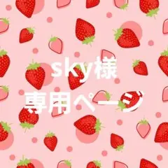 sky様　専用ページ