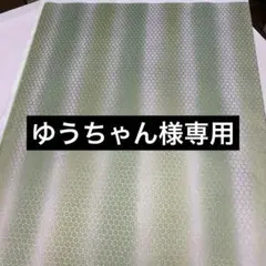ゆうちゃんさま専用