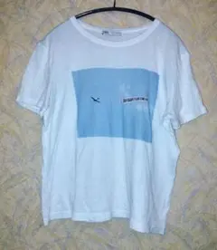 ZARA 半袖Tシャツ M ホワイト・ブルー
