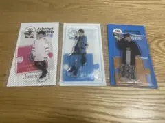 向井康二 アクスタ、アクキーセット(11個)