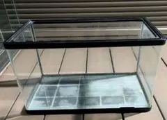 2026年最新】曲げガラス水槽の人気アイテム - メルカリ