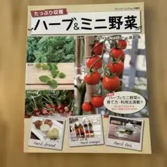 Item thumbnail for item af14dab0-c2f1-4a03-9b2c-3c3720ff338d