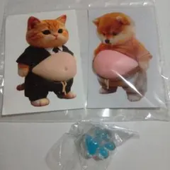 ☓　お腹　ぽっこり　シリコン　ぷにぷに　ステッカー　猫　柴犬　シール