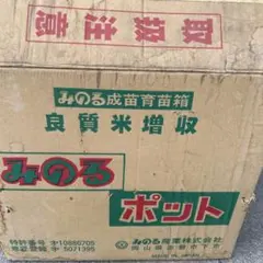 2026年最新】苗箱 みのるの人気アイテム - メルカリ