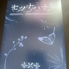 TXT セツナハナビ トレカセット 初回限定Photocard盤