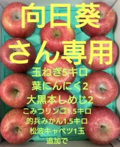 向日葵さん専用