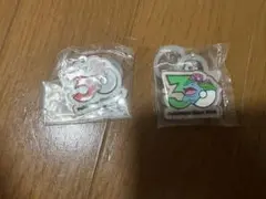 ポケモン 30周年 メタルチャームマスコット ガチャ