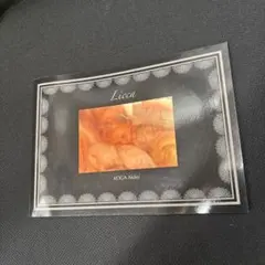 古賀亜希子 写真集 Licca