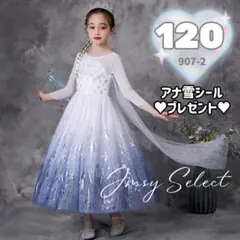 120cm♥メッシュ長袖　白紫青　エルサドレス　アナ雪2　ディズニープリンセス