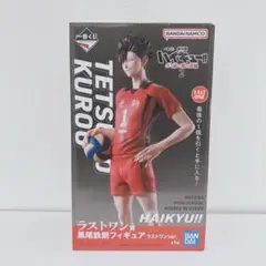 ハイキュー　一番くじ　ゴミ捨て場の決戦　ラストワン賞