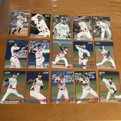 東京ヤクルトスワローズ 選手カードセット15枚