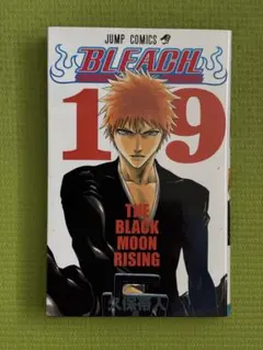 ☆洋書 英語 / BLEACH ブリーチ 19巻 / 久保帯人 - メルカリ