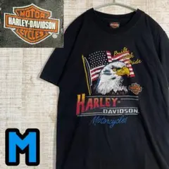 90s Daytona Bike Week Tシャツ イーグル スカル ハーレー - メルカリ