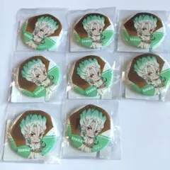 Dr. STONE dmm スクラッチ 石神千空　8点 ミニキャラ缶バッジ