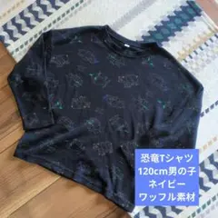 Item thumbnail for item 9ef31c53-ce7a-43ed-9e4f-26fe3b63daa6